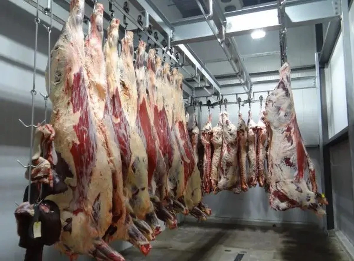 Maso v mrazáku: Konečně víte, jak dlouho vydrží. Není to kouzelná skrýš - image 1