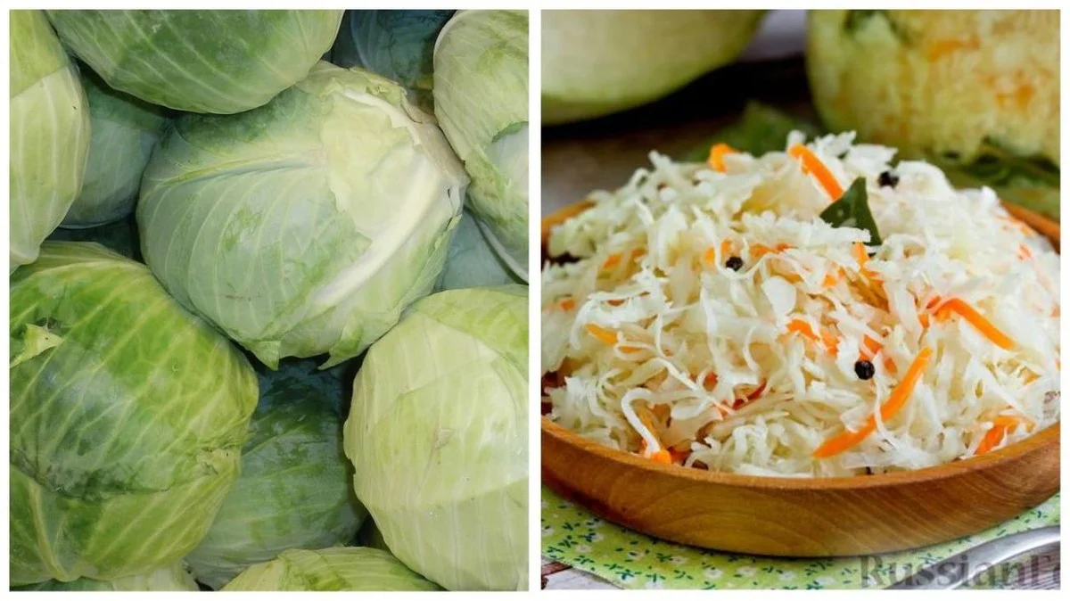 Na co se dívají zkušení zelináři? Detail na slupce, který prozradí hořkou versus křupavou hlávku zelí