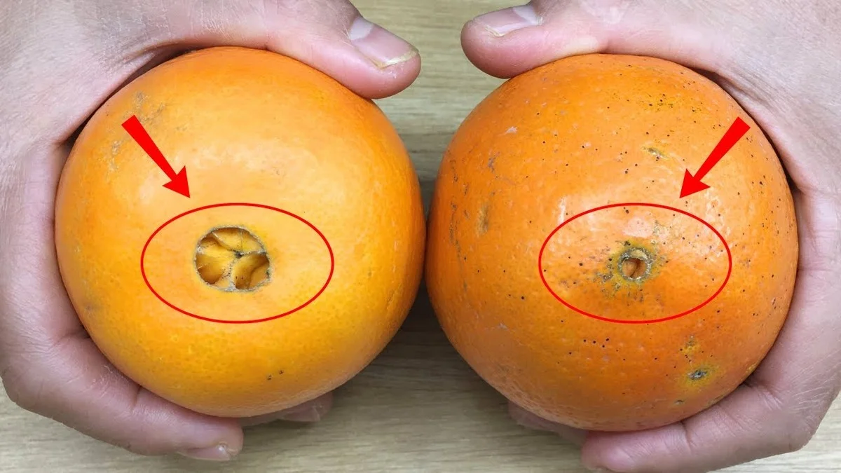 drobnecervenete-extra-1.webp Drobné červené tečky na kůře odhalí nejsladší pomeranče: Nenechte se oklamat prodavači - image 1