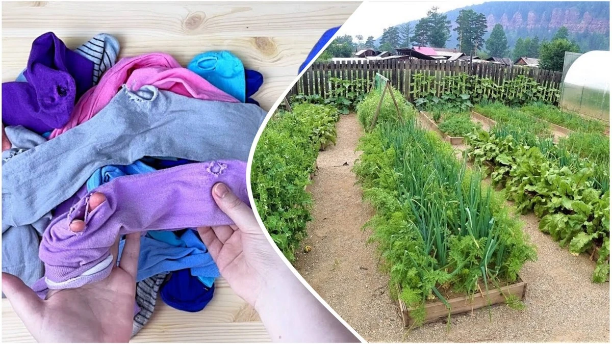 Už žádné díry: 4 nečekané způsoby, jak využít staré ponožky v domácnosti i na zahradě