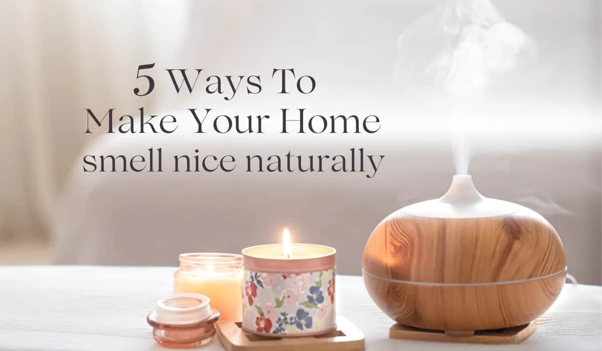 procstacikrabic-extra-1.webp Proč stačí krabička od sirek s uhlím za záchodovou mísou: Zbavte se zápachu jednou provždy - image 1