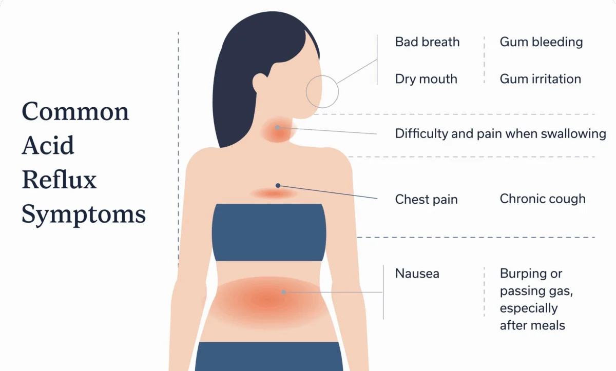 zapomentenadeto-extra-1.webp Zapomeňte na detox. Tato skrytá chyba ve stravě ničí vaše trávení zevnitř - image 1