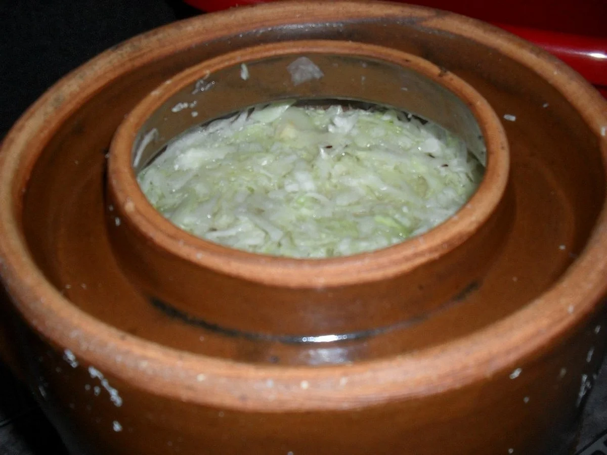 Kysané zelí měkké a 