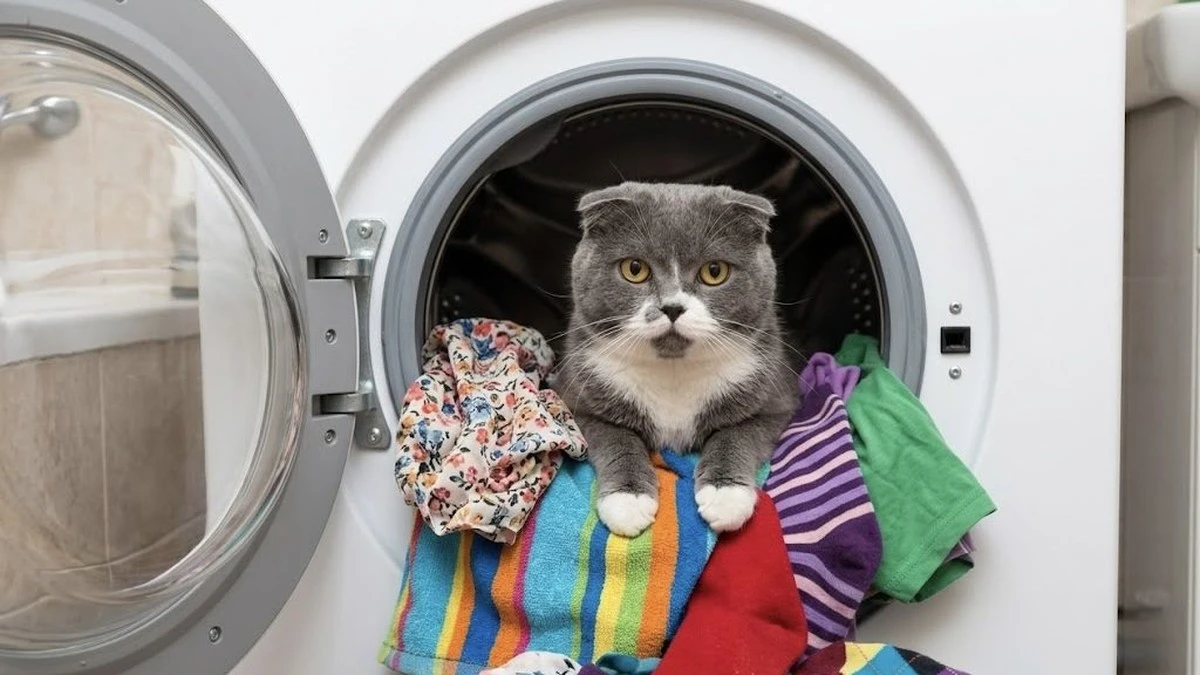 Zlatá hodina pro vaši pračku: Proč odborníci doporučují přestávku mezi praním