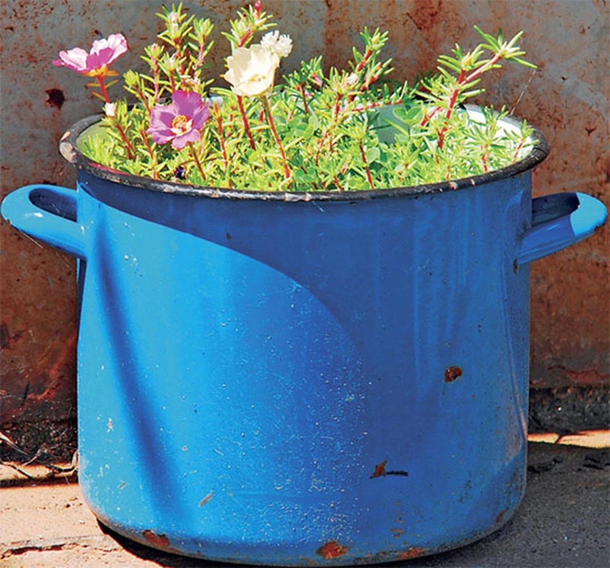 Prababiččiny litinové kotle už nikdy nebudou takhle zářit: 1 metoda, po které i staletý nálet 