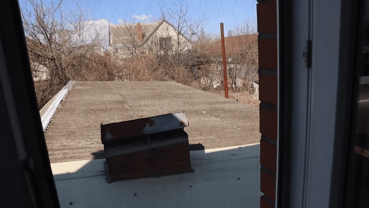 Zapomeňte na drahé sítě: Trik mých sousedů proti hmyzu ocenilo celé město