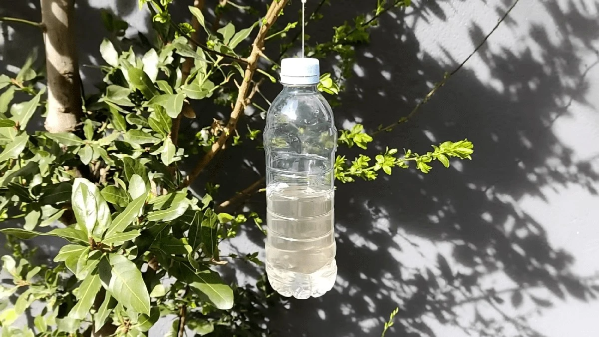 Prozkoumejte trik se lahví octa na vaší jabloní: Jednoduchý způsob, jak zahradu proměnit v oázu klidu