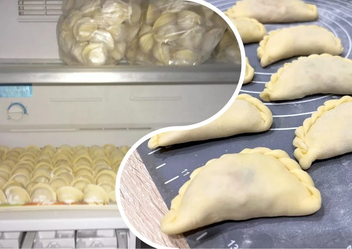 Proč se české mrazicí boxy mýlí: Jak dlouho vydrží mražené knedlíky a taštičky a co to dělá s masem?