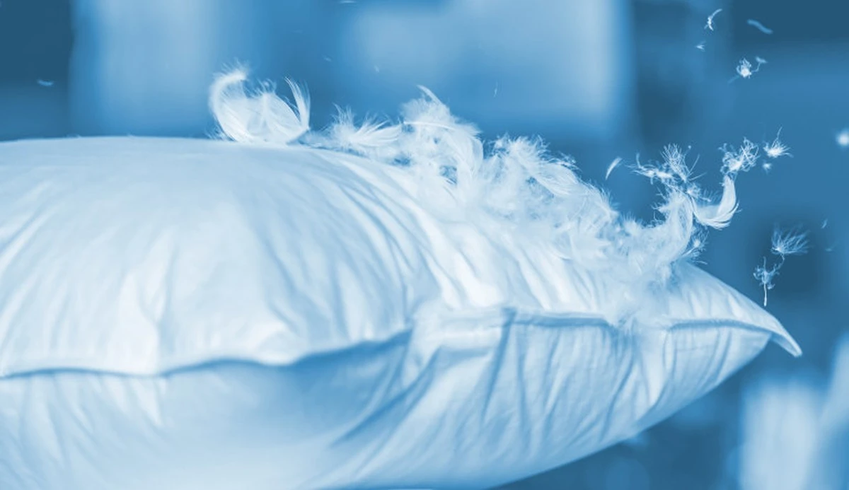 Neperte péřovku v pračce: Trik s pěnou na holení vás zbaví skvrn bez poškození výplně - image 2