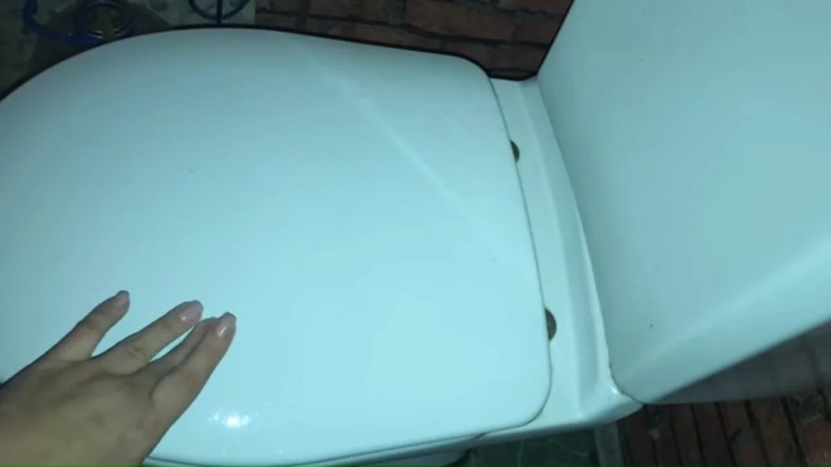 Zapomeňte na drhnačku: Jak vyčistit mísu i pod okrajem rychle a bez zápachu