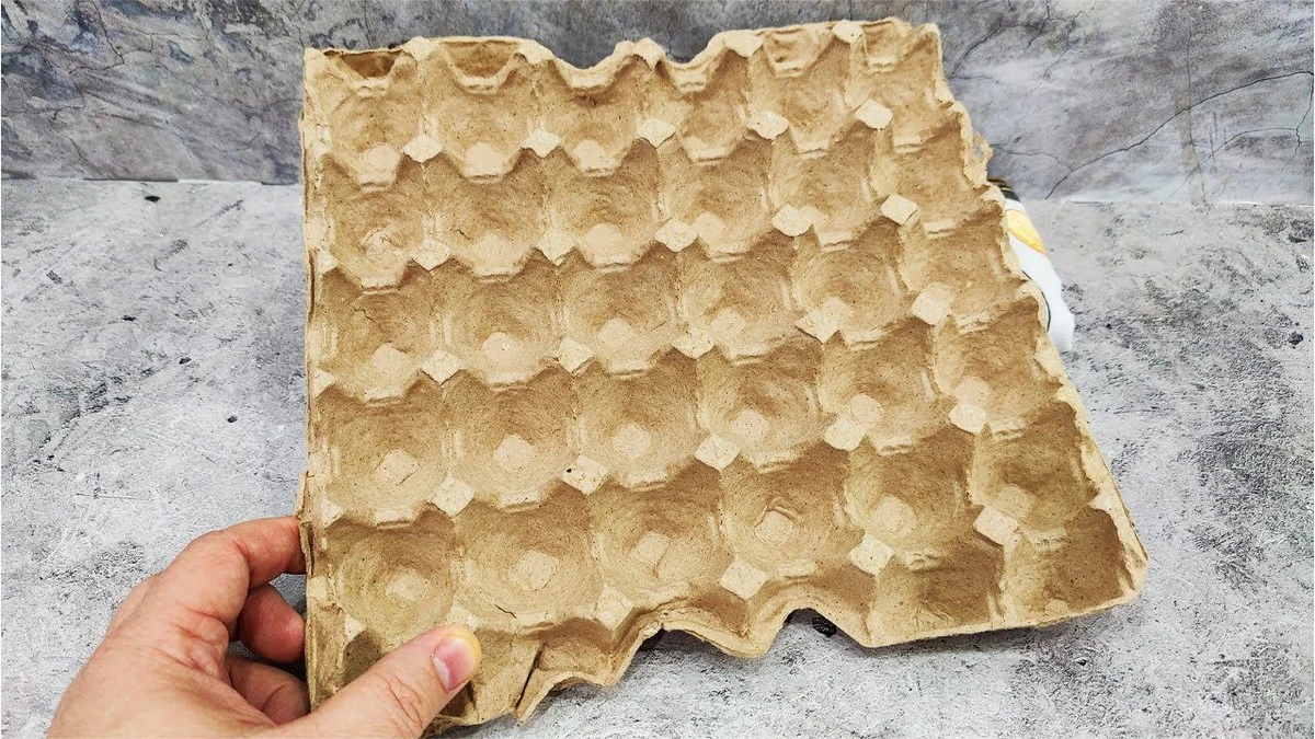 Proč zkušená máma z vesnice desetkrát rychleji zpracovává kartonové plata od vajec