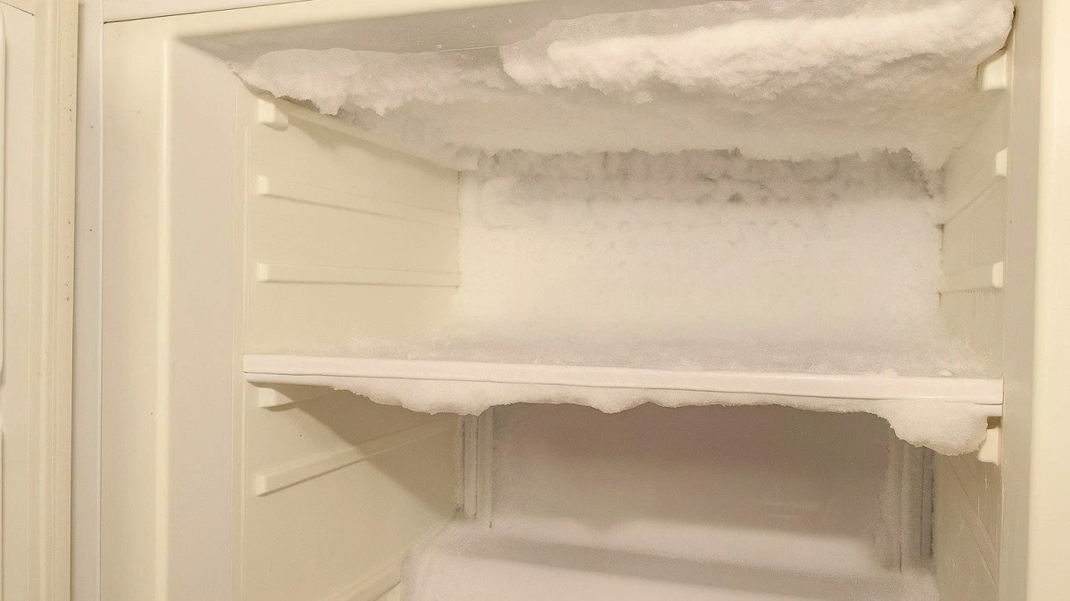 procdavammincid-extra-1.webp Proč dávám minci do mrazáku před odjezdem: Trik, o kterém nikdo nemluví - image 1