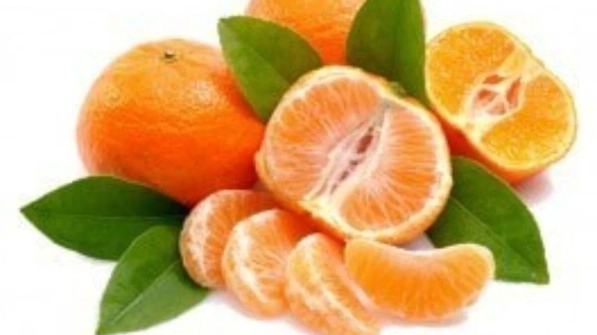 Jak si vybrat sladké mandarinky: trik od prodavačky z ATB, který vás zbaví kyselých plodů - image 1
