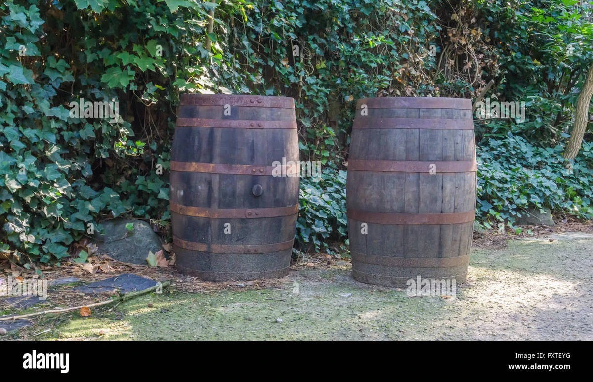 Dvě staré rezavé barely u domu: z jednoho květináč, z druhého gril. A ještě jedna skvělá nápověda! - image 1