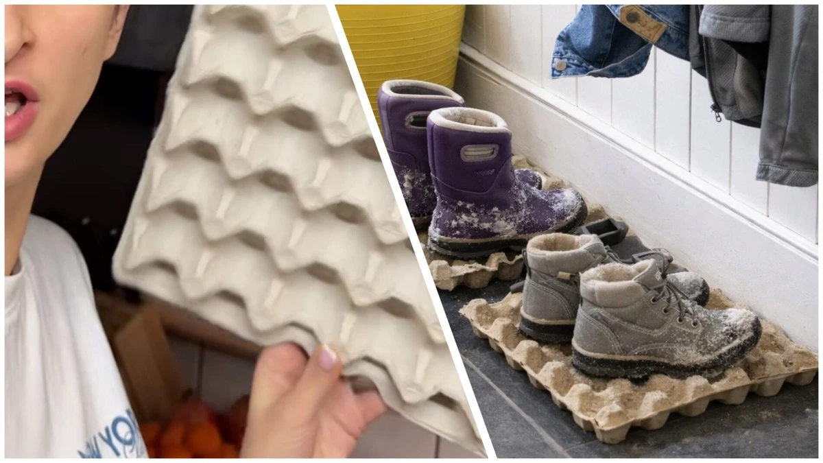 Papírové plata od vajec dejte do předsíně: Proč zkušené hospodyňky nikdy nevyhazují tento běžný odpad