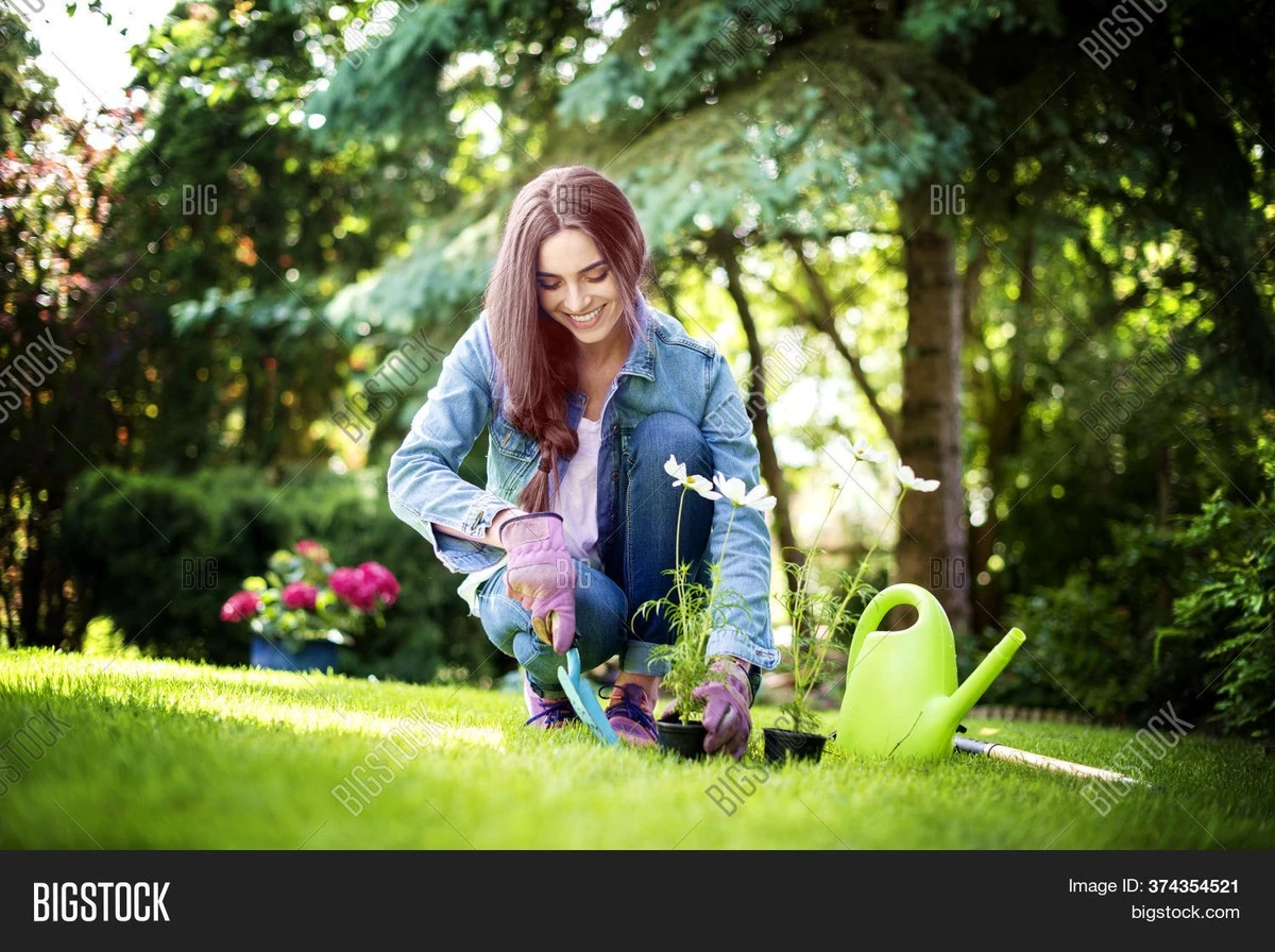 Proč rostliny prospívají lépe, když se o ně staráte s láskou - image 1