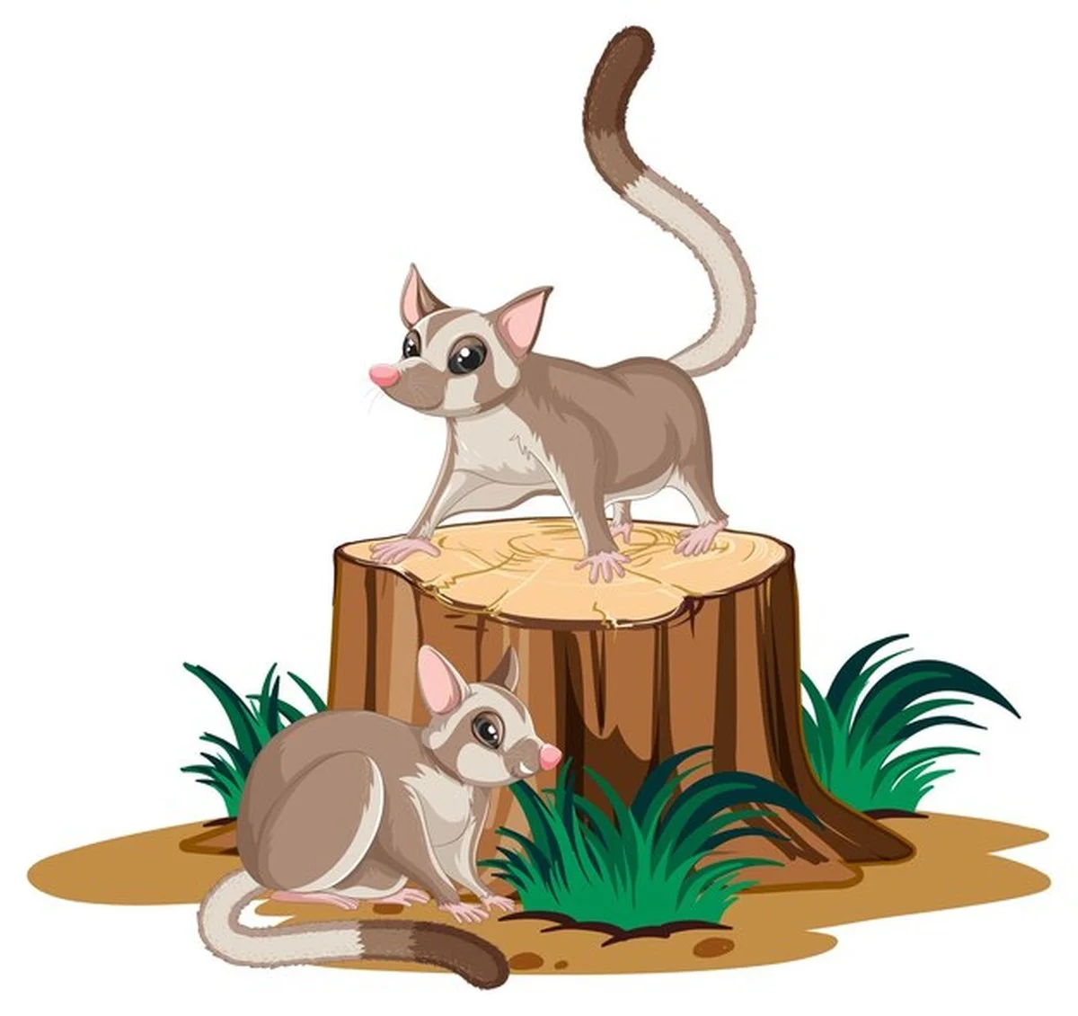 Odhalený trik se štěrkem a 8 dalších metod, jak vyhnat hryzce ze zahrady - image 2