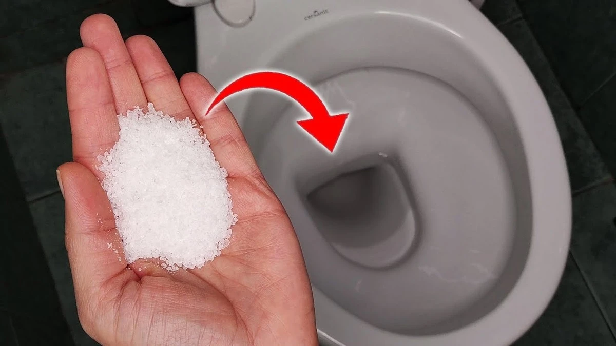 Proč zkušené hospodyňky sypou sůl do záchodu každý den