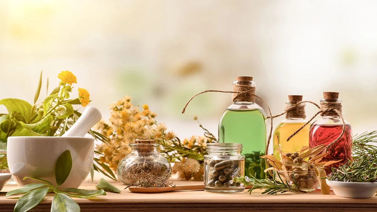 4 překvapivé triky s bobkovým listem, které změní váš domov - image 2