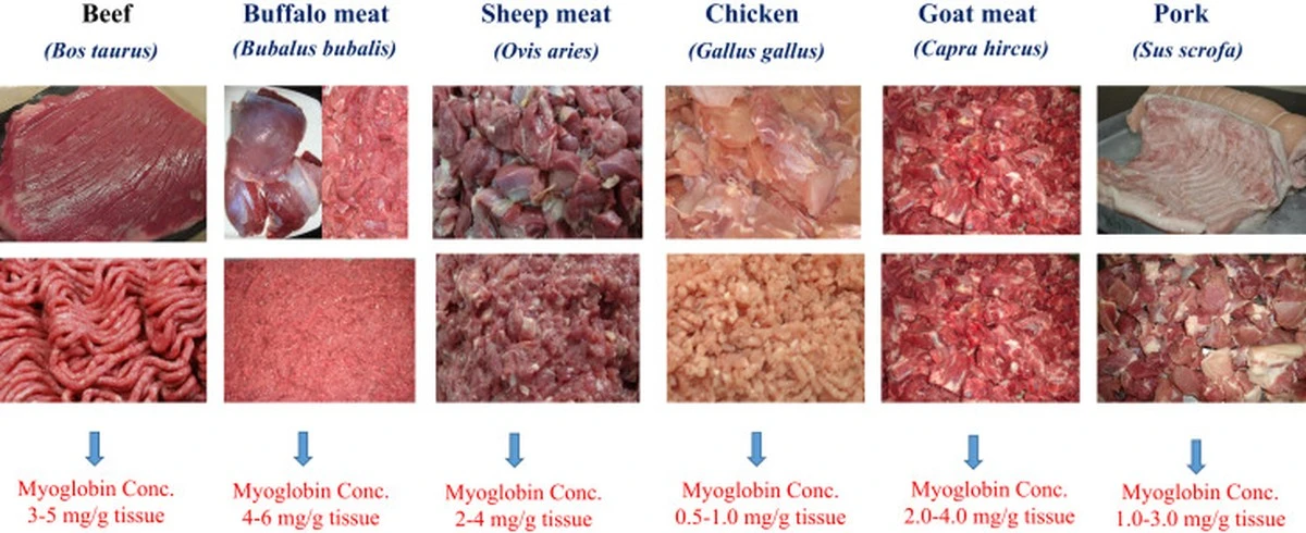 3varovneznamkyv-extra-2.webp 3 varovné známky v uzeninách: jak poznat nekvalitní párky podle rady zkušené prodavačky - image 2