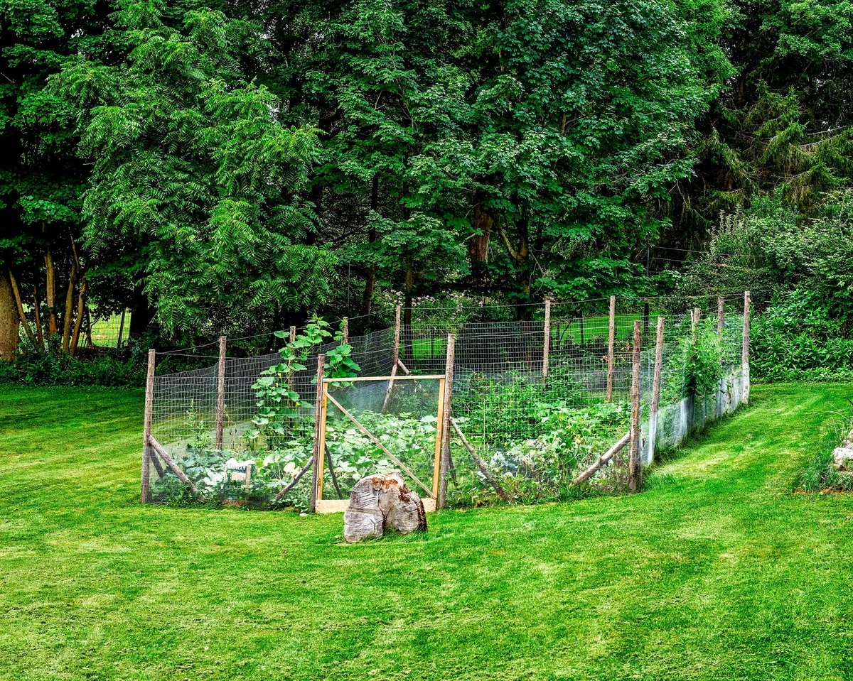 Akkurátní a pevný plot za jediný den? Soused mi prozradil tajný trik ze stavebnin. - image 1