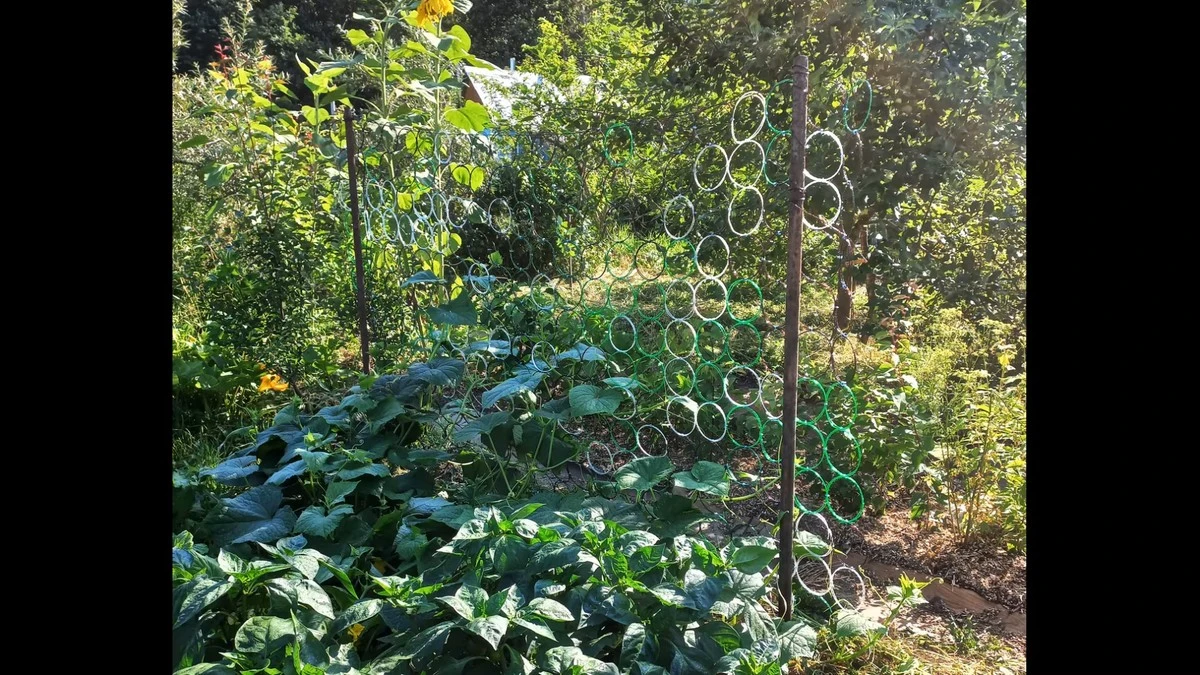 Pět plastových lahví proměněných v geniální zahradní síť: Susen už nevěří svým očím