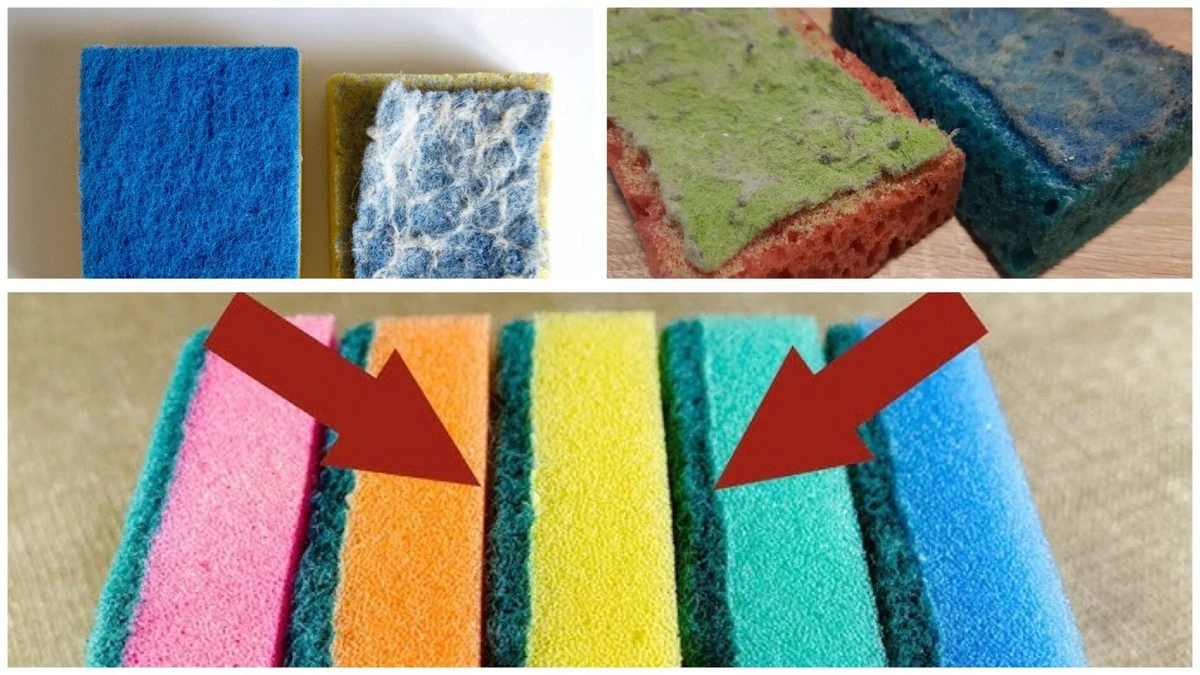 Proč po 3 dnech vyhazuji houbičky na nádobí, i když vypadají jako nové: mikrobiologové varují před riziky