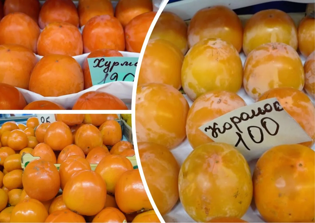 Sharon, Královka, Persimon: Jak se v nich vyznat a který je pro vás ten pravý