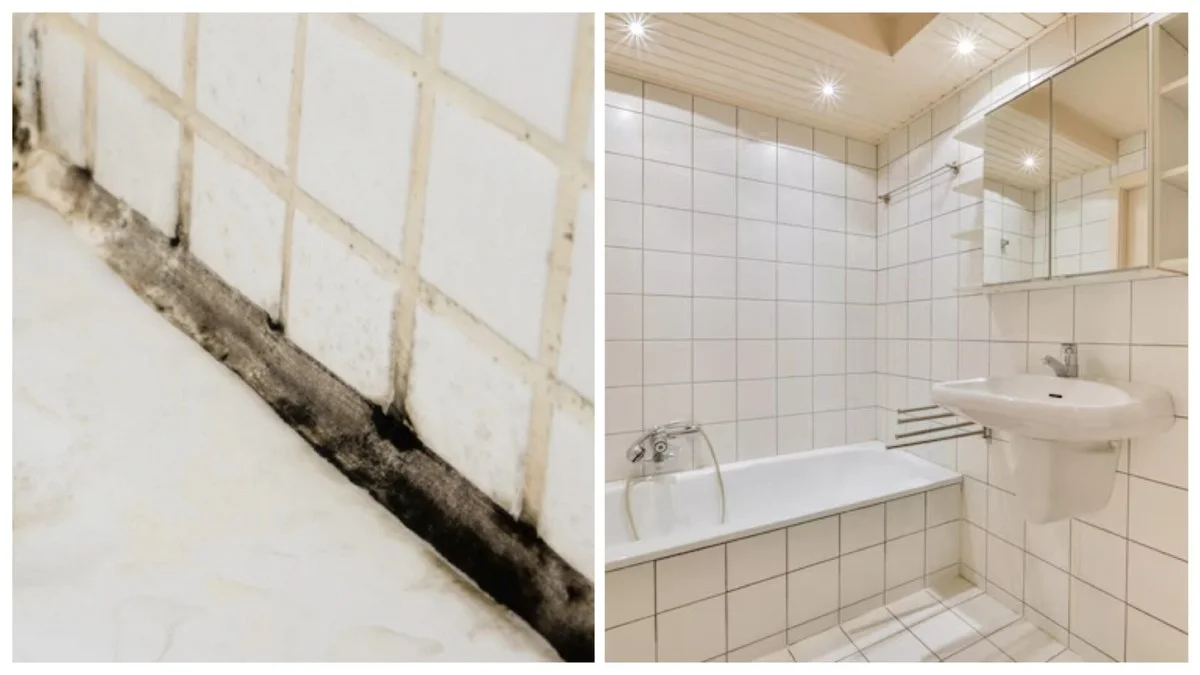 Domácí postřik z 3 korun zničí plíseň za hodinu: Vyzkoušejte ho ve vaně i na zdech