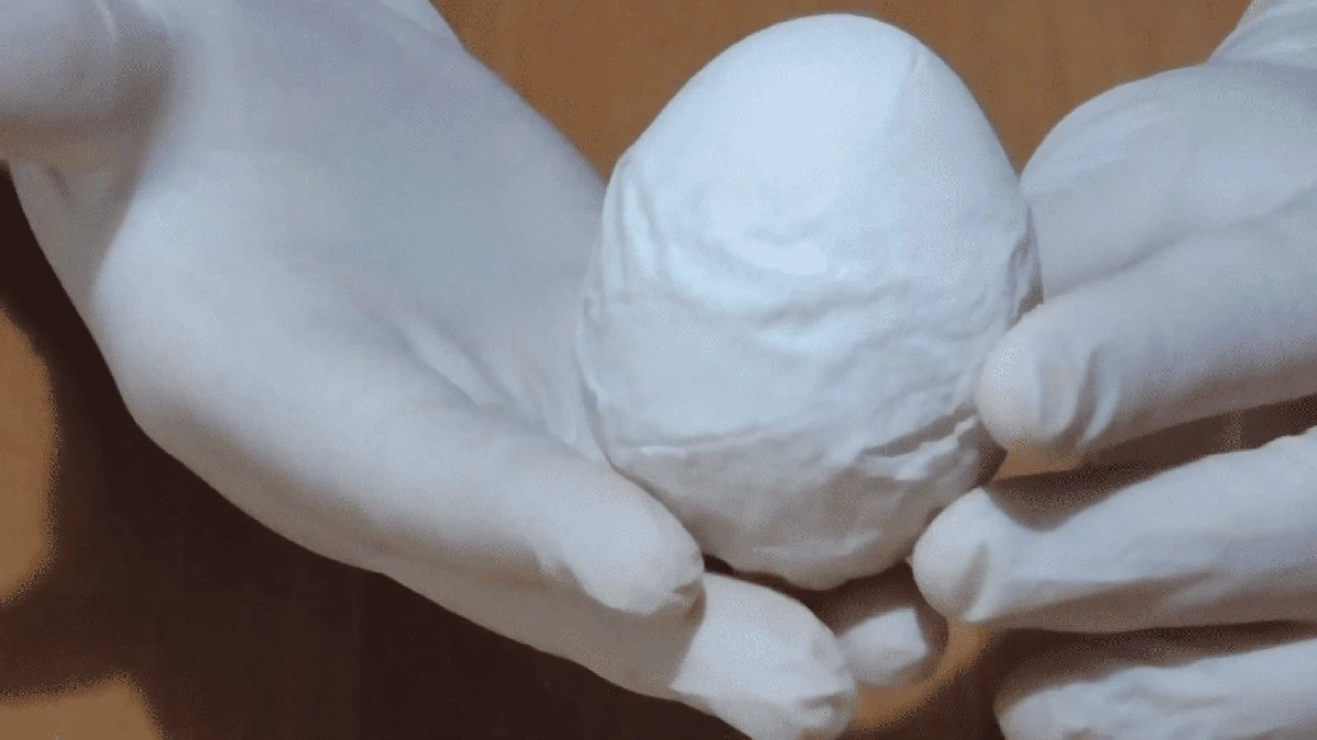 Vejce bez skořápky u slepic přehlížených 3 důvodů: Můj jednoduchý trik problém vyřešil