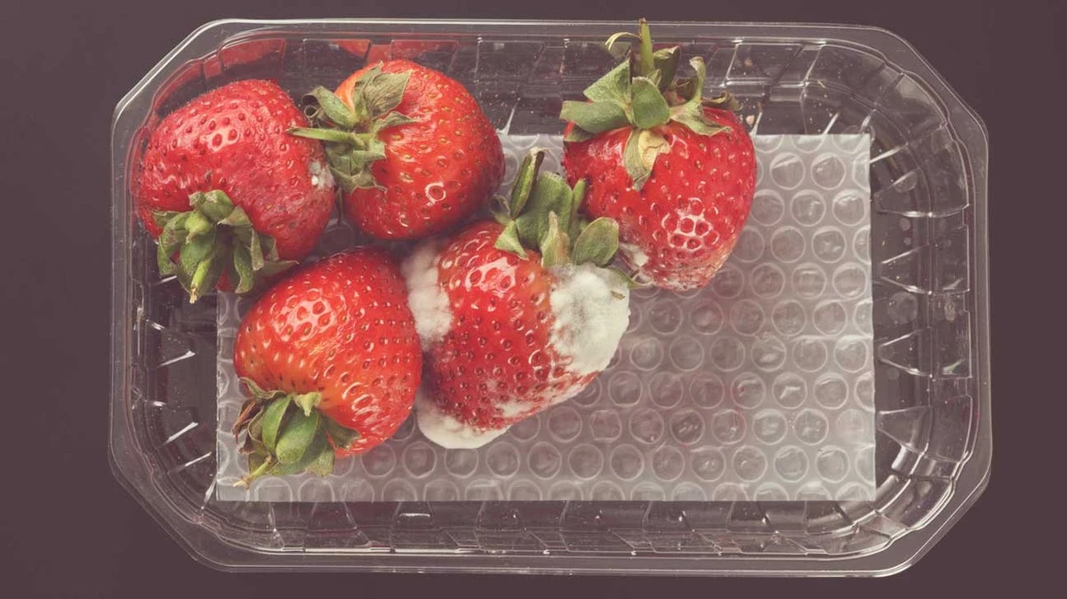 Nikdy neřízněte plesnivou část. Skrytá otrava hrozí víc, než si myslíte - image 1