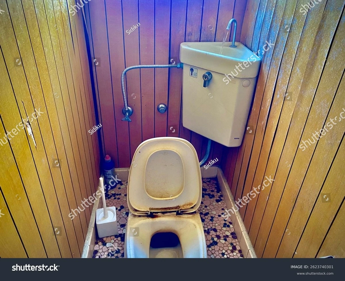 Tajemství japonského záchodu: Proč se naši sousedé v Asii otáčejí zády k modernímu toaletnímu prkénku - image 1