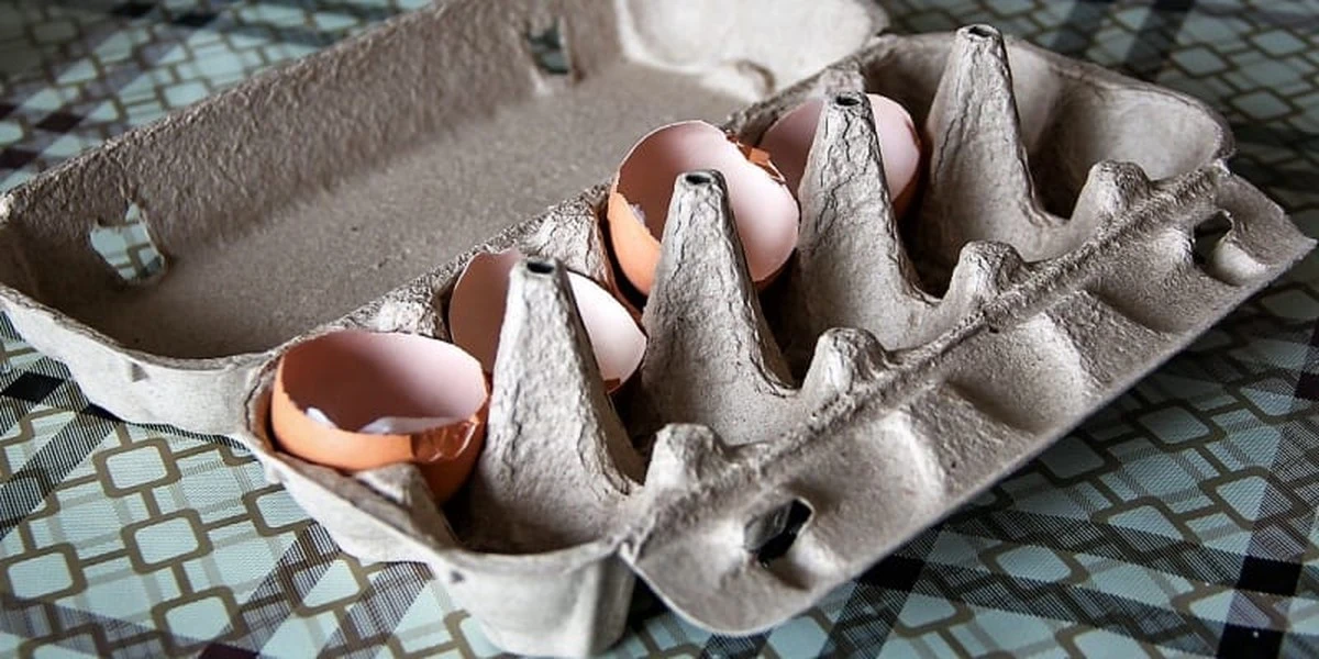 Už žádný odpad: 4 geniální triky s kartonovými obaly od vajec, které musíte znát - image 1