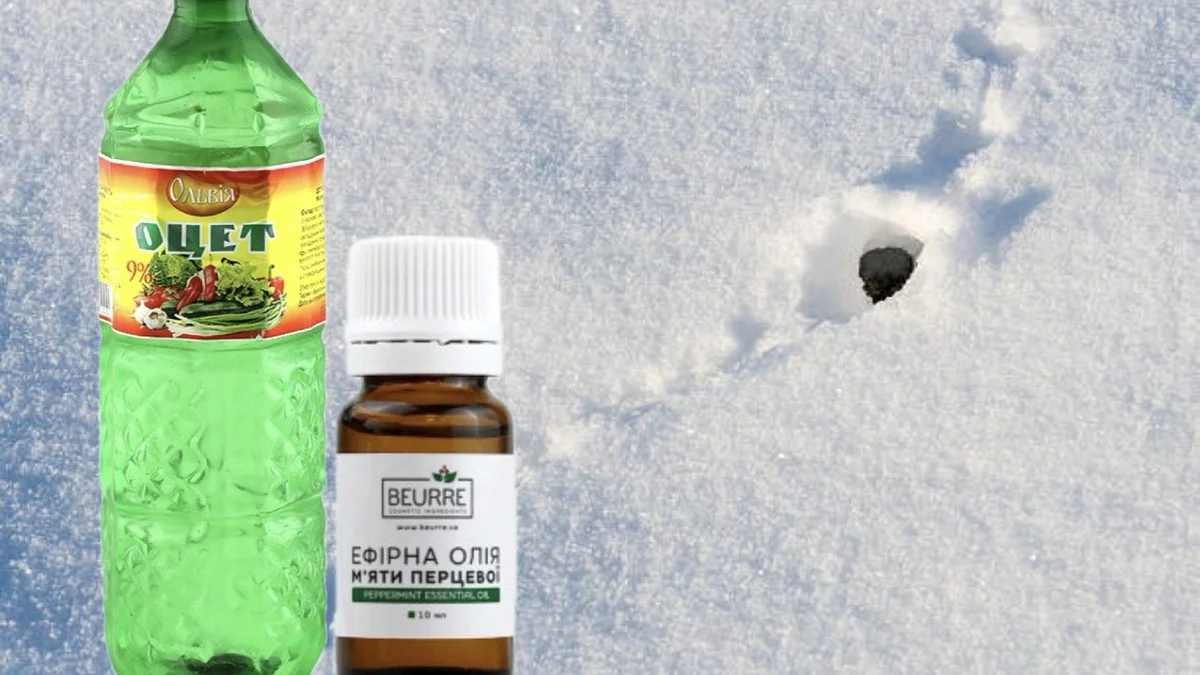 Proč teď zkušené hospodyně kupují 3 litry octa a oleje? Klíč k diskrétní zimní ochraně