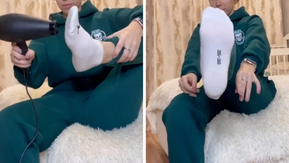 Proč zkušení majitelé dávají na dno květináče houbu.