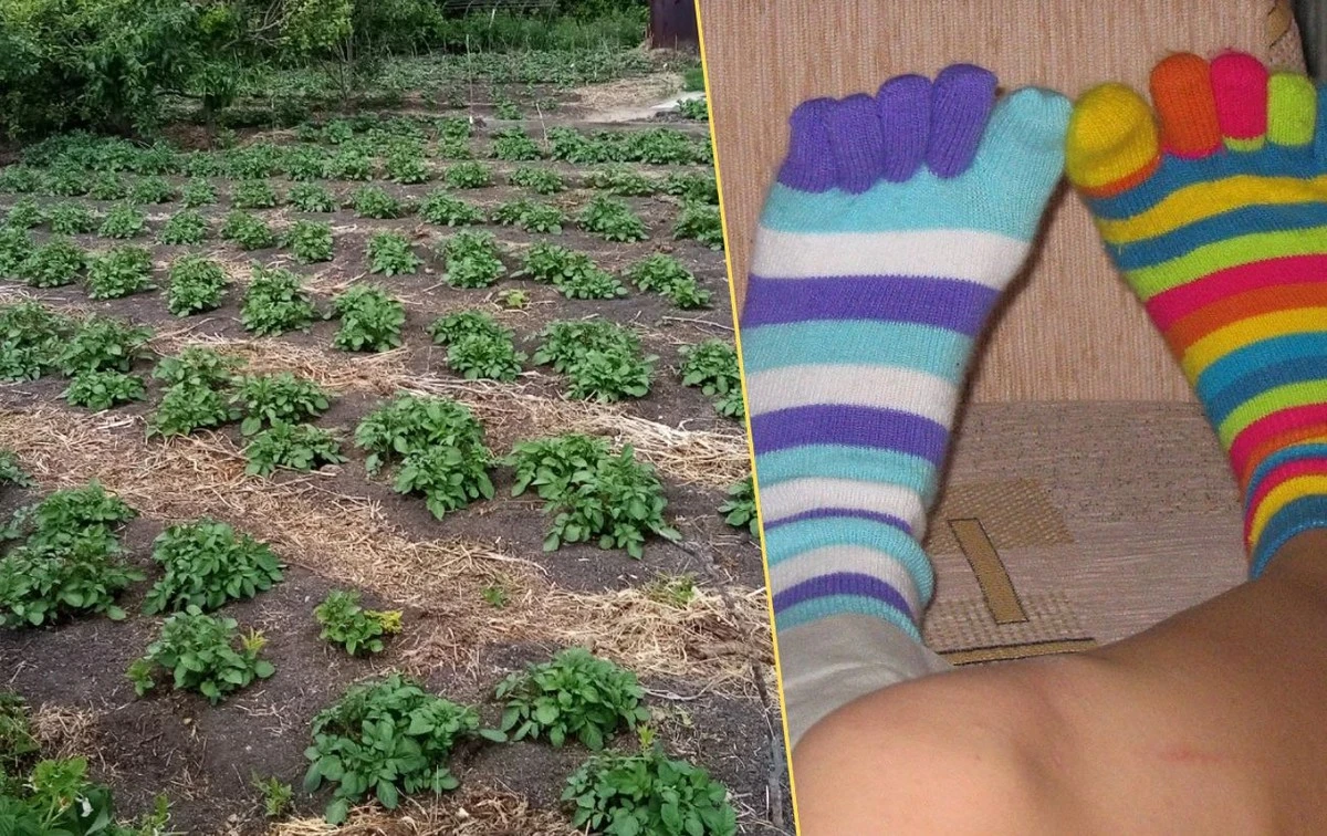 4 nečekané způsoby, jak využít staré, děravé ponožky