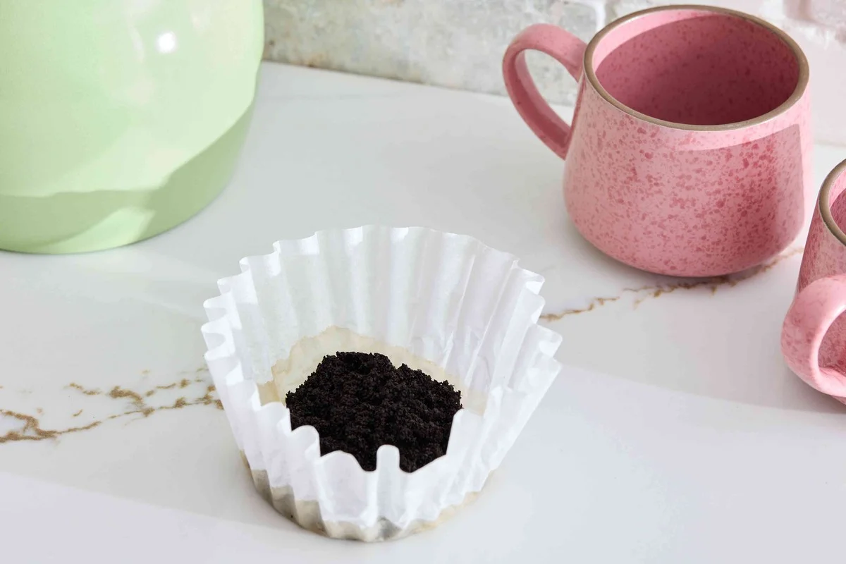 Proč zkušení zahrádkáři NIKDY nevyhazují kávovou sedlinu: 10 šikovných triků do bytu i na zahradu