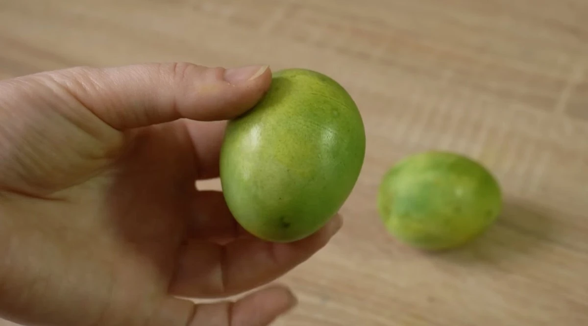 Zelená, jako od Shreka: Jak na to bez chemie s pomocí kurkumy a zelí