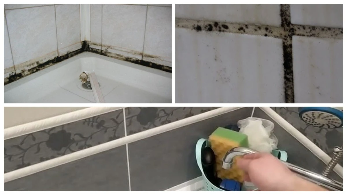 Jak vyřešit černý nalep na spárách a ve sprše: Je to jednodušší, než si myslíte