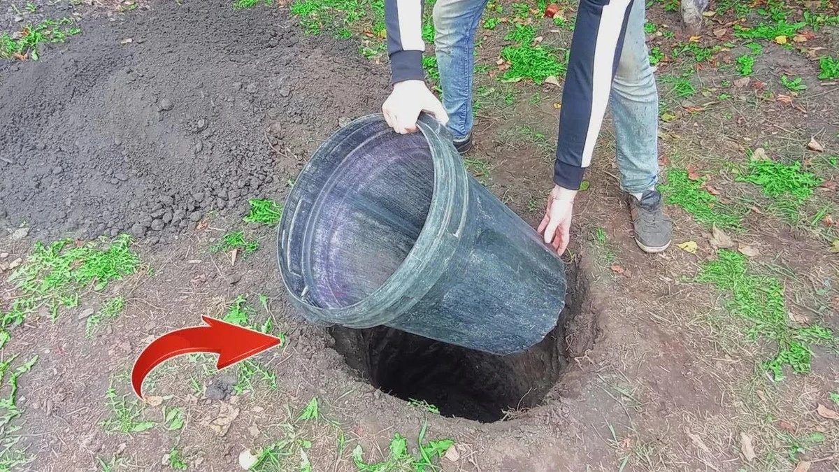 zakopajteplasti-extra-1.webp Закопаjte пластикову бочку в землю – і отримаєте холодильник без світла: лайфхак від куми, яка працює на комбінаті - image 1