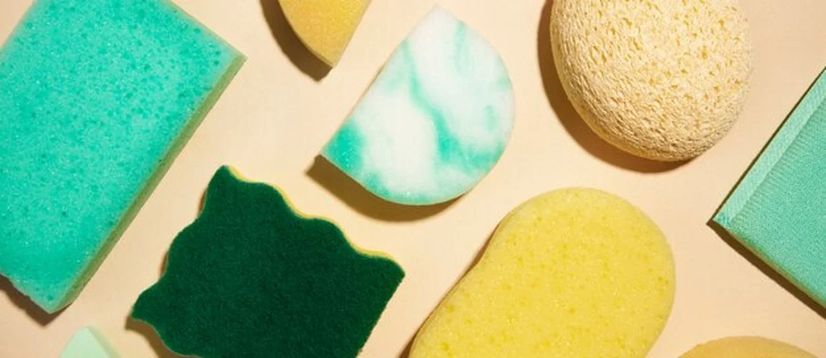 Neuvěřitelný trik, jak na zahradě vypěstovat houby, které vám ušetří spoustu peněz a planetu! - image 2