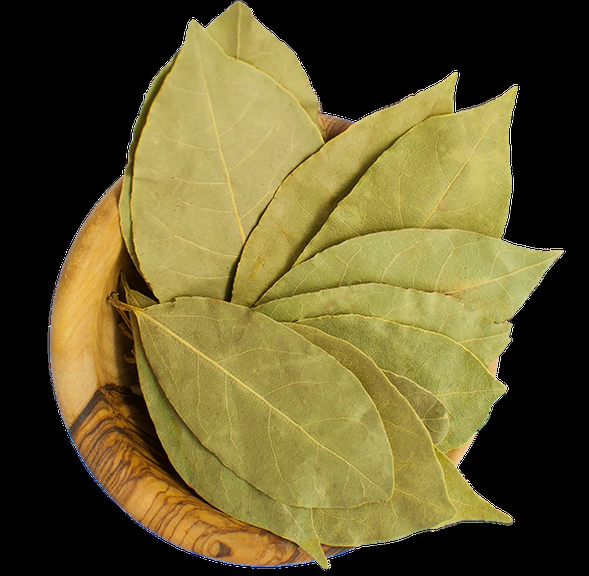 Proč zkušení kuchaři dávají bobkový list do mrazáku? Tajemství intenzivní chuti, o kterém se nemluví. - image 2