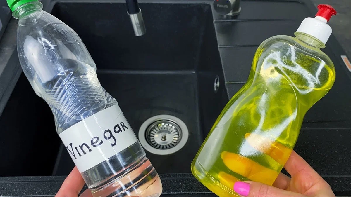 Vědci konečně potvrdili, proč stačí lžíce soli k tomu, aby byla vaše toaleta jako nová za 10 minut - image 2