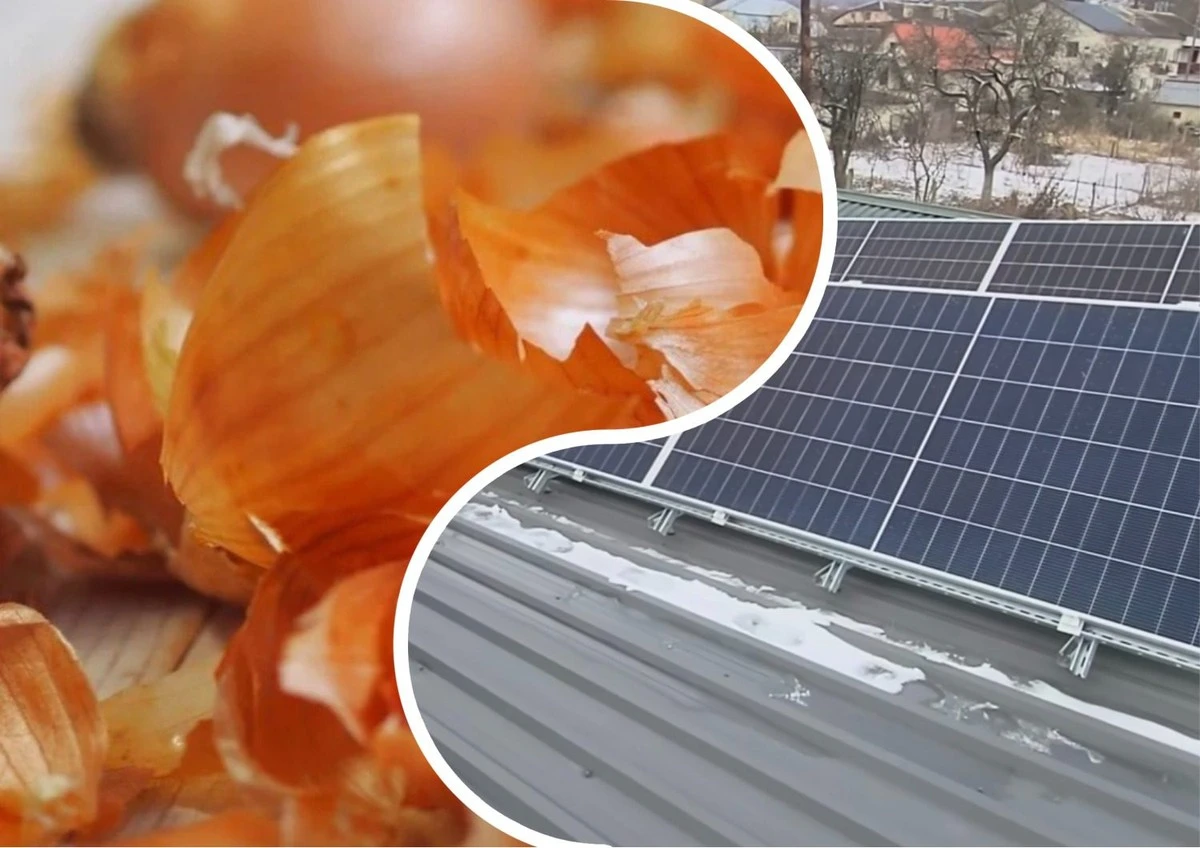 Proč zahrádkáři dávají slupky od cibule na střechu: unikátní ochrana solárních panelů