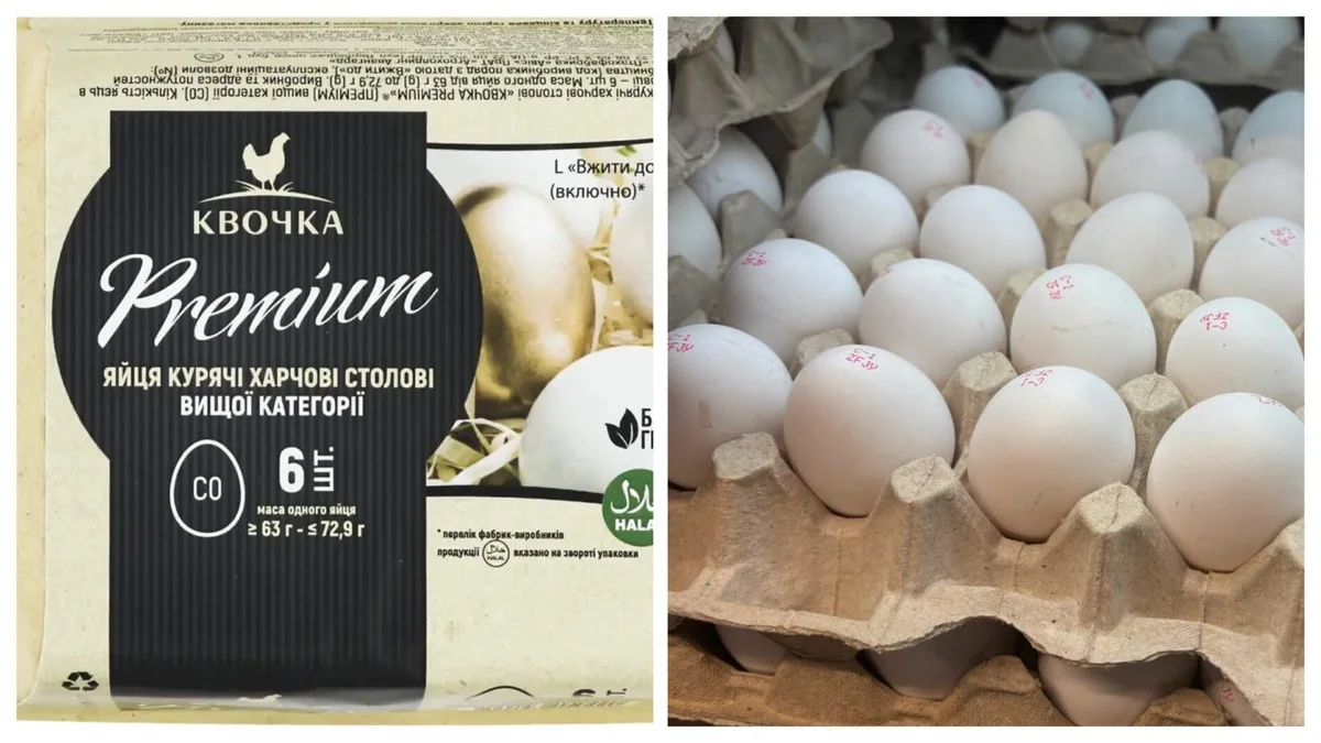 Proč jsou vajíčka drahá? Skrytý rozdíl, který výrobci nechtějí, abyste věděli.