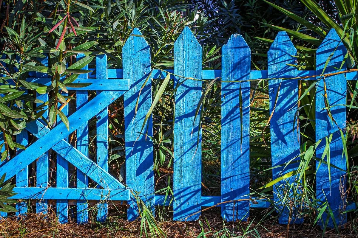 Proč zkušení majitelé domů barví plot v mrazu: Tři výsledky, které v létě nezískáte