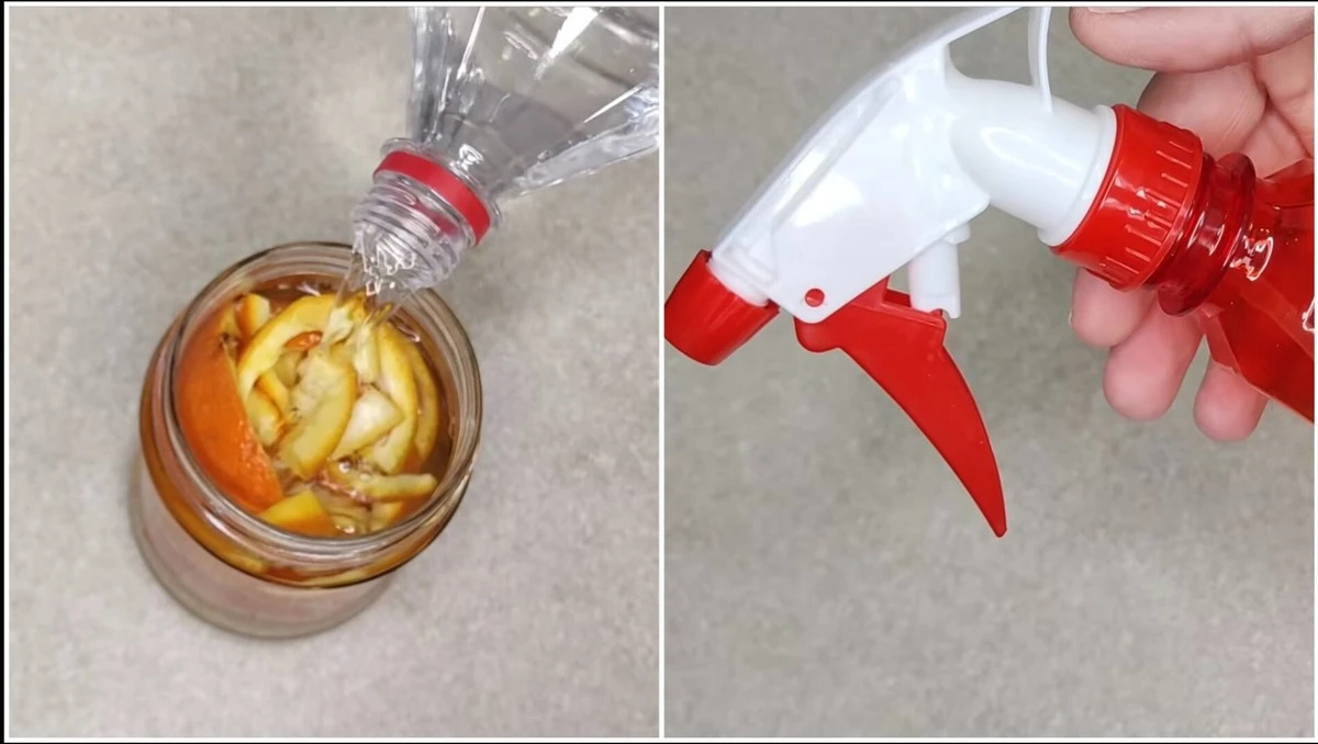 Proč profíci nedají dopustit na ocet s mandarinkovými slupkami: úklidová síla, která vás překvapí