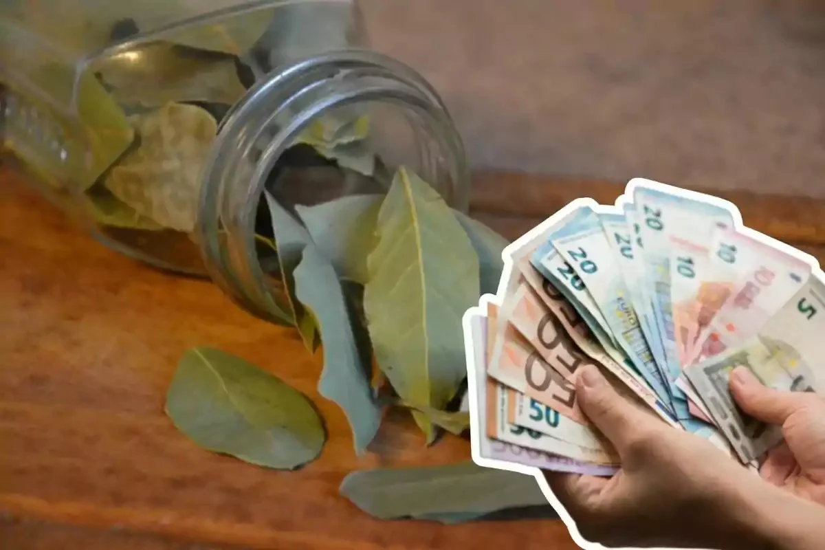 Babička vždy dávala TOTO pod rohožku v prosinci: 1 lístek a rok 2026 přinese hojnost a klid - image 1