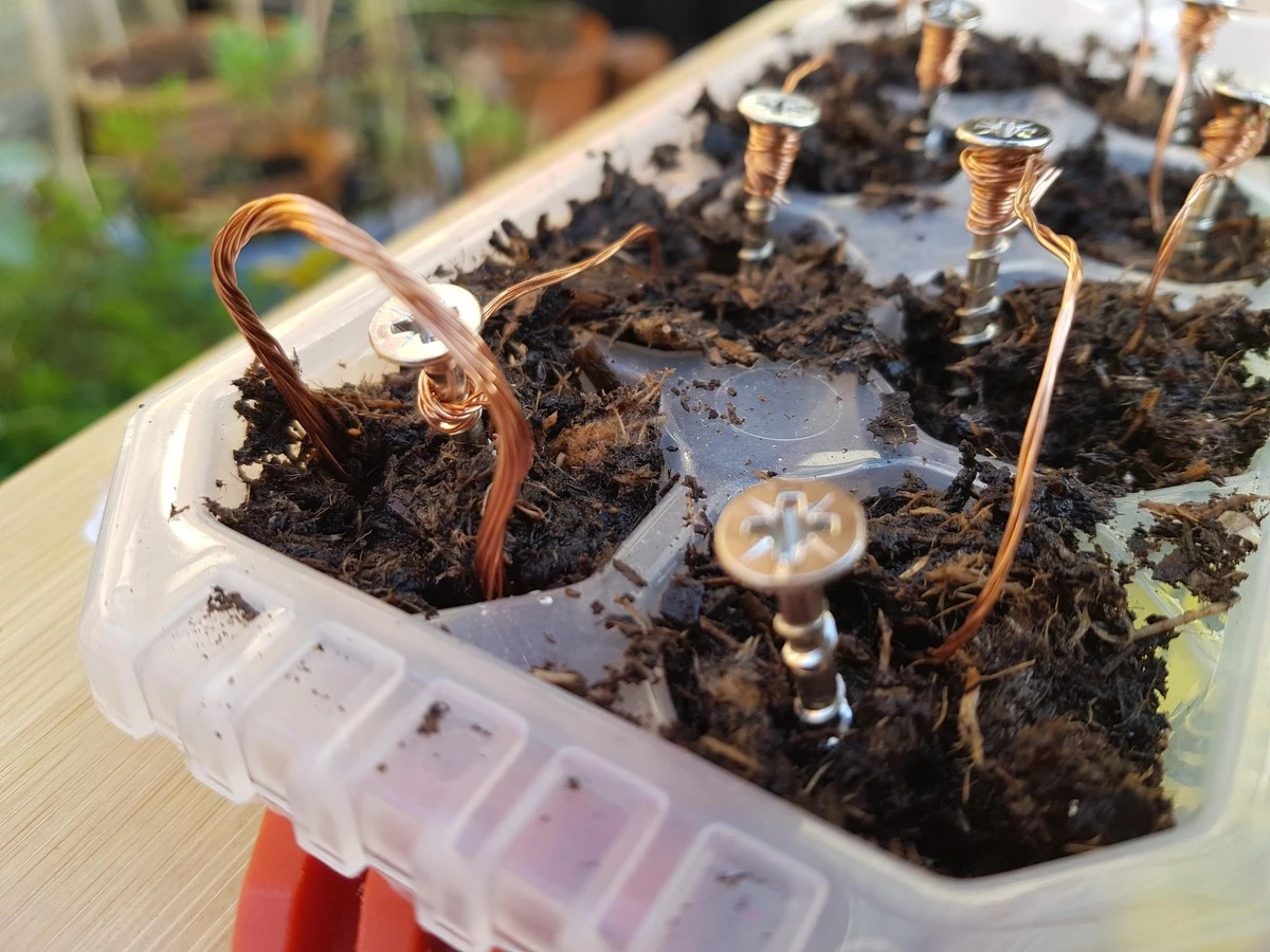 Pět plechových desek v květináči vyrobí 7 voltů: Muž nevěřil, jak nabije telefon ze země - image 1