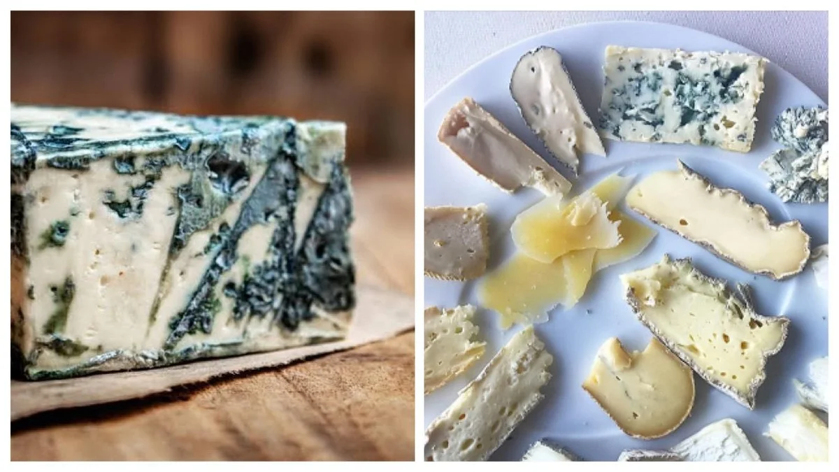 Jak správně jíst modrý sýr, aby chutnal božsky: Stačí lžička medu a zmizí slanost i pálivost